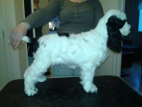 /album/patu/a394637-10200626719808697-142456136-n-kopio-jpg1/